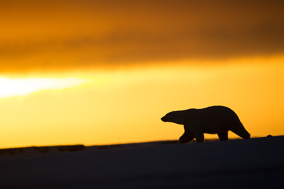 Photos d'ici et d'ailleurs ... enfin, surtout d'ailleurs